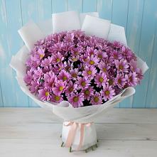 Букет цветов из:  Хризантемы в Троицком Алтайский край