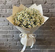 Букет цветов из:  Ромашки в Троицком Алтайский край