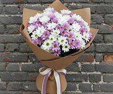 Букет цветов из:  Хризантемы #REPLACE_PRED# Троицком Алтайский край