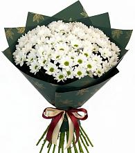 Букет цветов из:  Хризантемы в Троицком Алтайский край