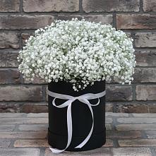 Цветочная композиция из Гипсофила в шляпной коробке #REPLACE_PRED# Троицком Алтайский край