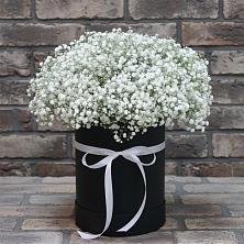 Цветочная композиция из Гипсофила в шляпной коробке в Троицком Алтайский край