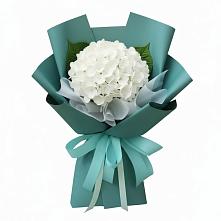 Букет цветов из:  Гортензия #REPLACE_PRED# Троицком Алтайский край